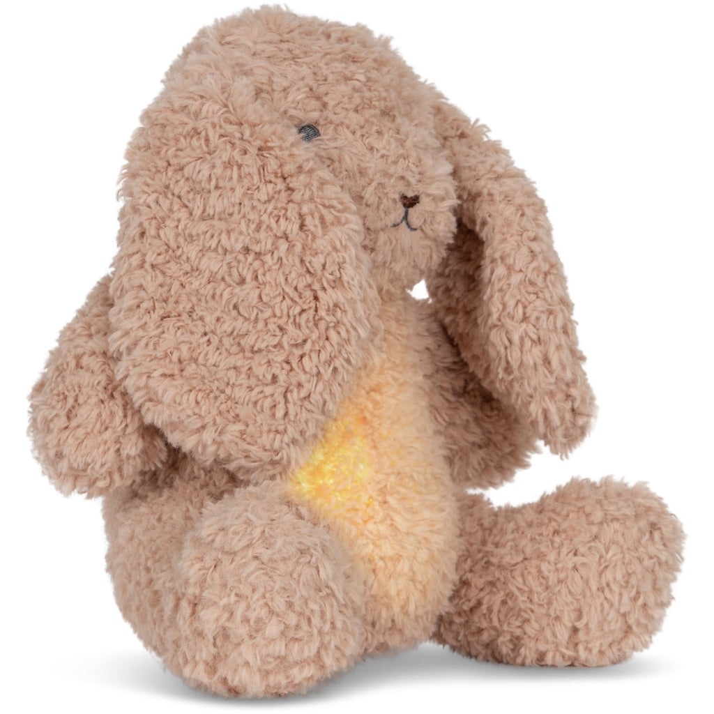 Bunny Teddy LED Lamp