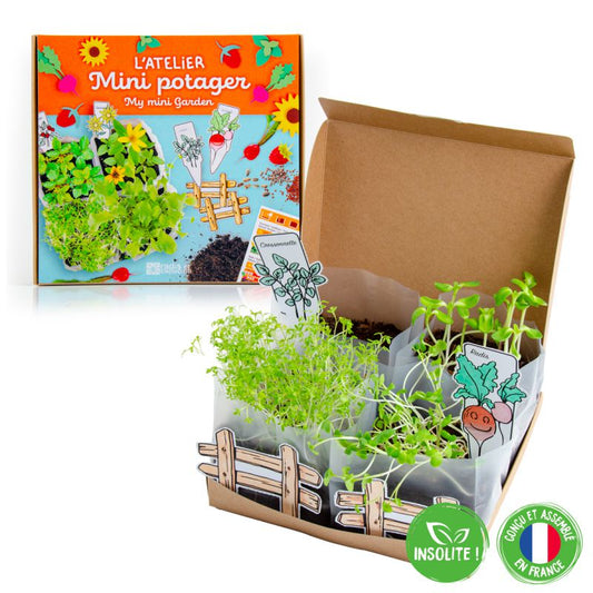 Organic Mini Vegetable Garden Set