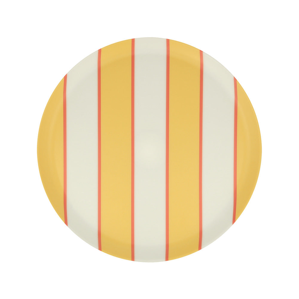 Mixed stripe recycled plastic plates Small (X 6)