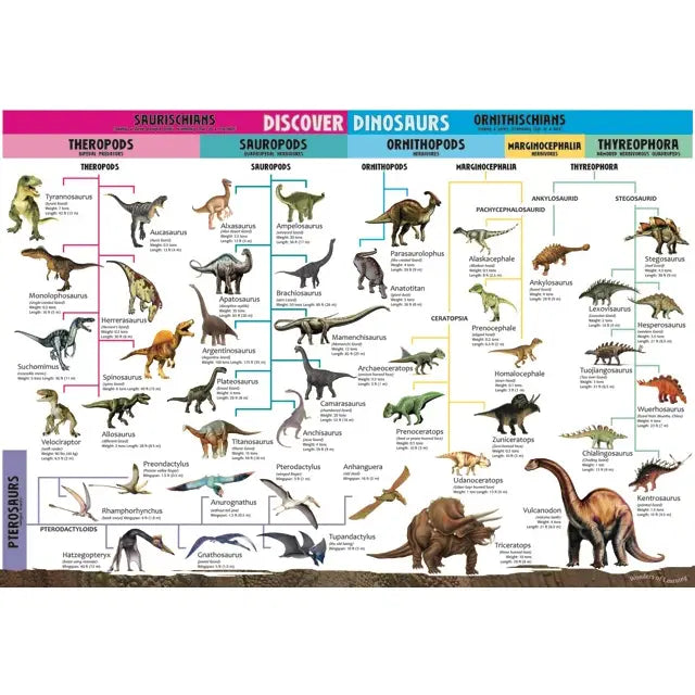 Tin Set - Discover Dinosaurs