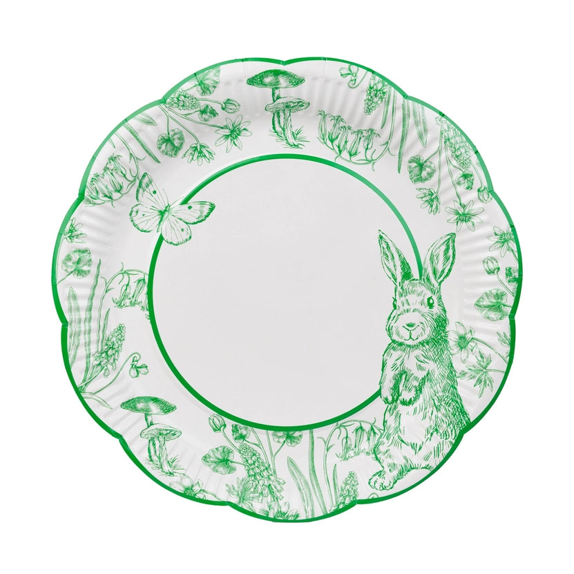 Pierre Rabbit Easter Plates - 10 Pack