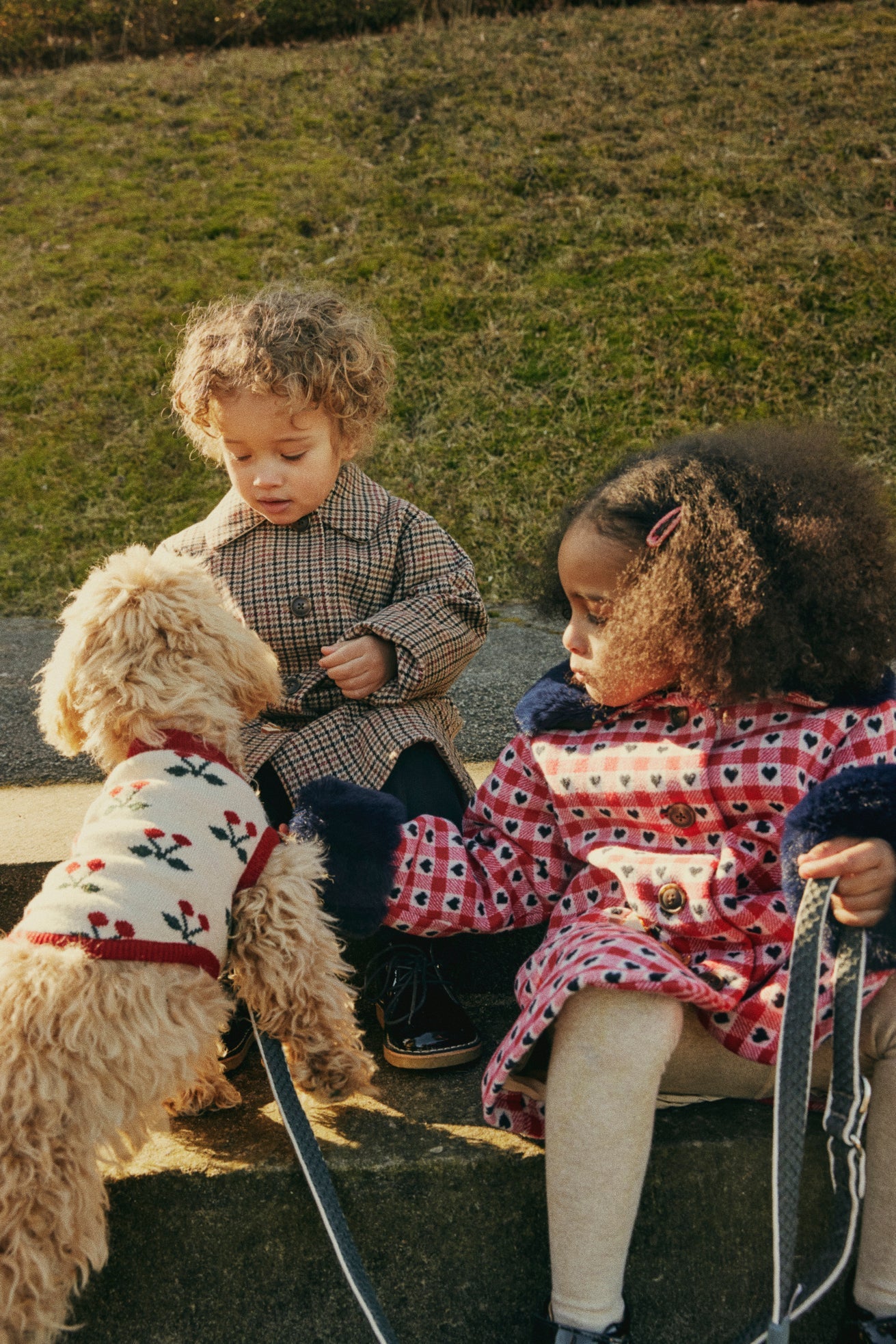 cherry knit dog vest - cherry