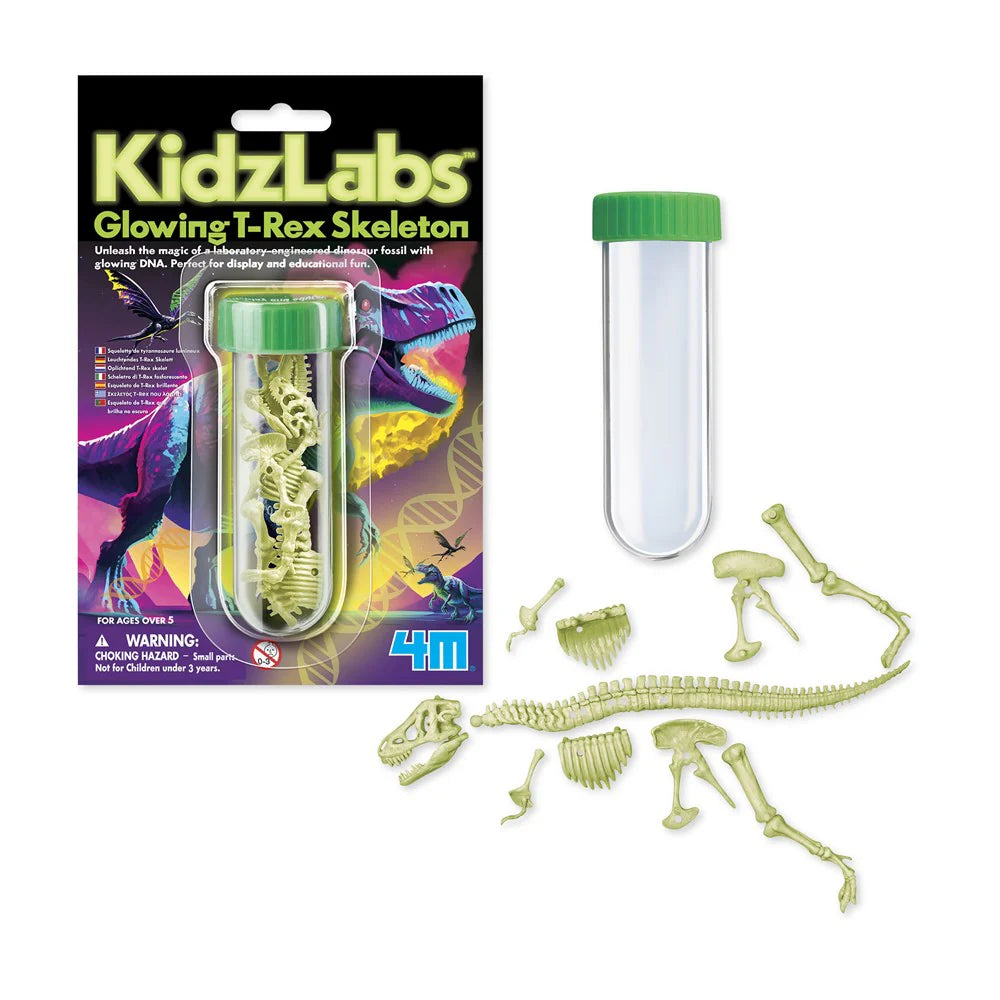 4M - KIDZLABS - GLOWING T-REX SKELETON