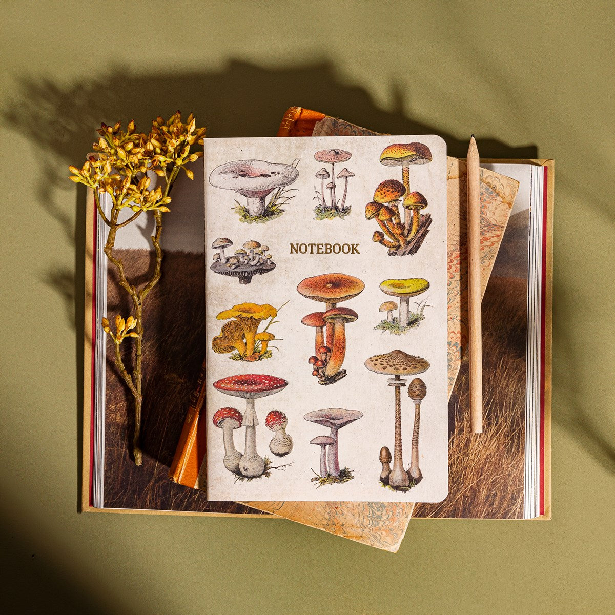 Vintage Mushrooms A5 Notebook