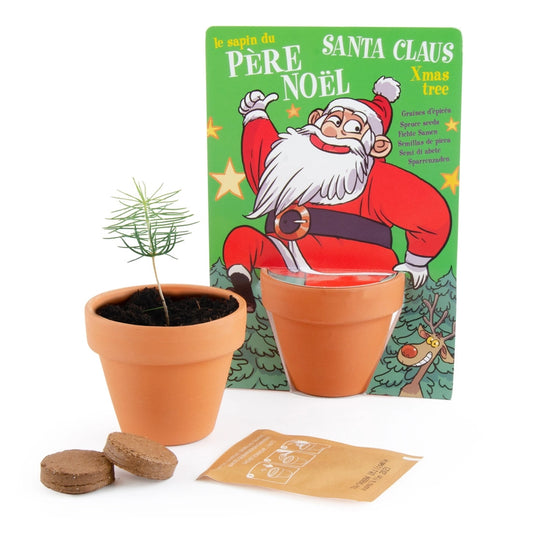 Top Noel - Nature Card - Santa Claus - Pine