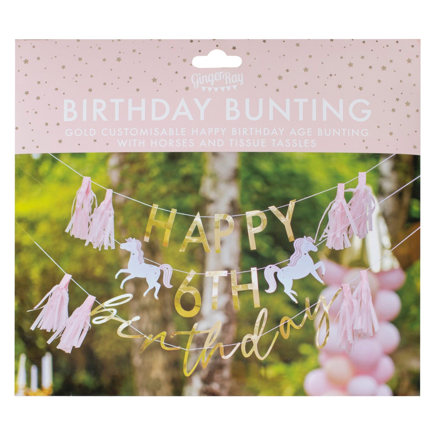 Customisable Princess Happy Birthday Party Bunting