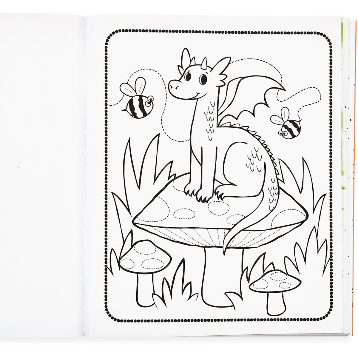 Colorin Book – Knights & Dragons