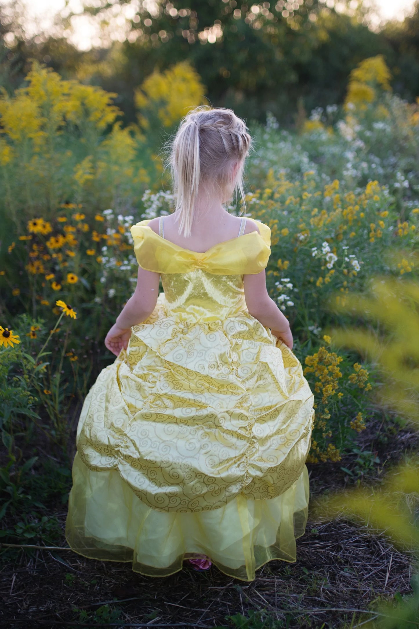 Deluxe belle gown