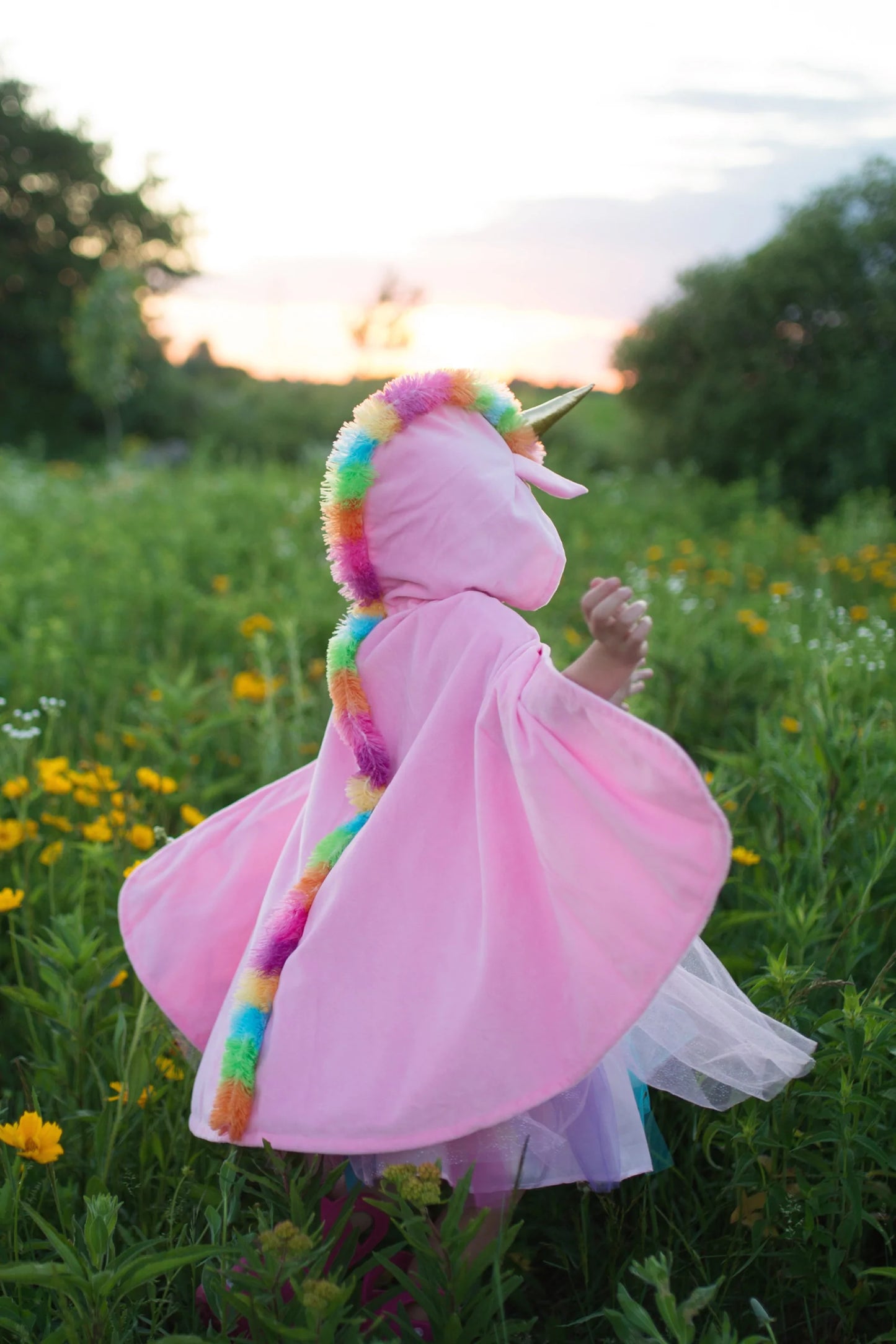 Unicorn cape