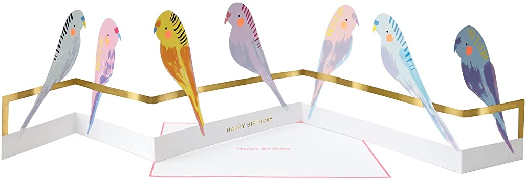 Budgie Birds Concertina Happy Birthday Greeting Card