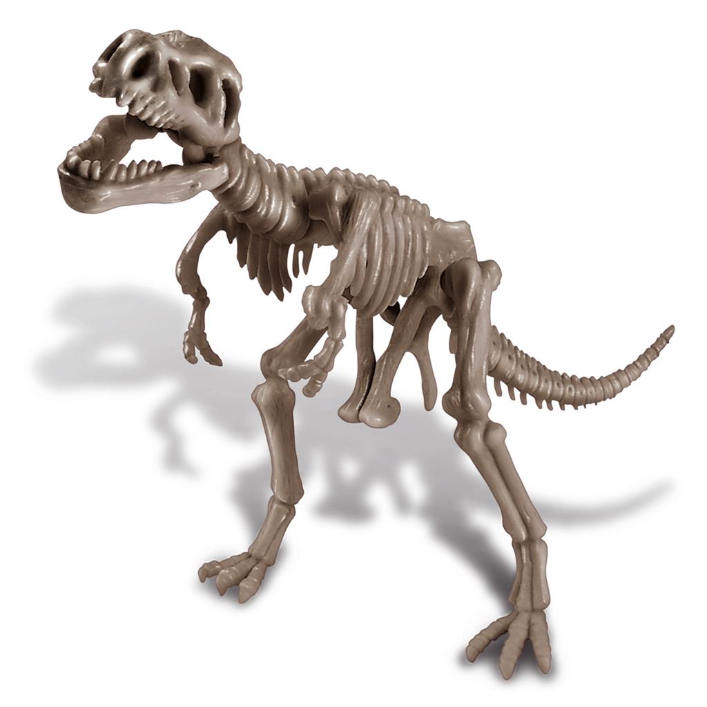 DIG-A-DINO SKELETON - T-REX