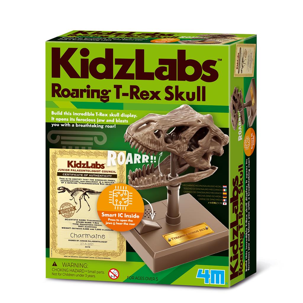 Kidzlab - Roaring R-Rex Skull