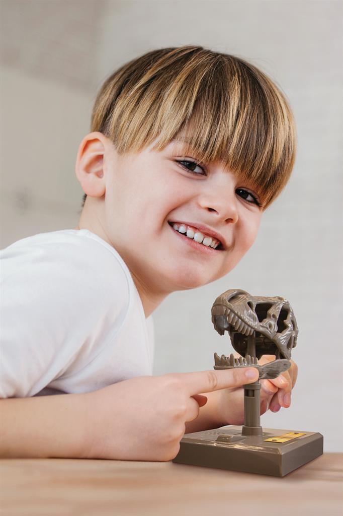 Kidzlab - Roaring R-Rex Skull