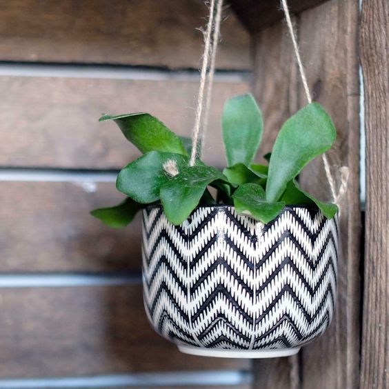 Black Geo Zinnia Hanging Planter