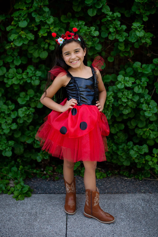 Ladybug Dress & Headband 3-4 years