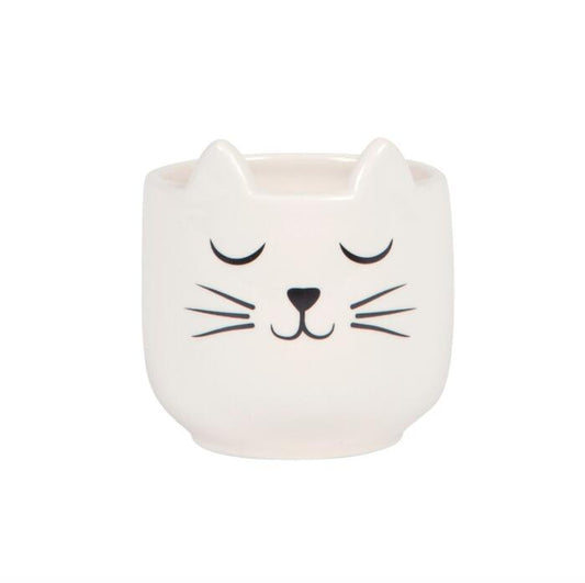 Mini Cat's Whiskers Planter