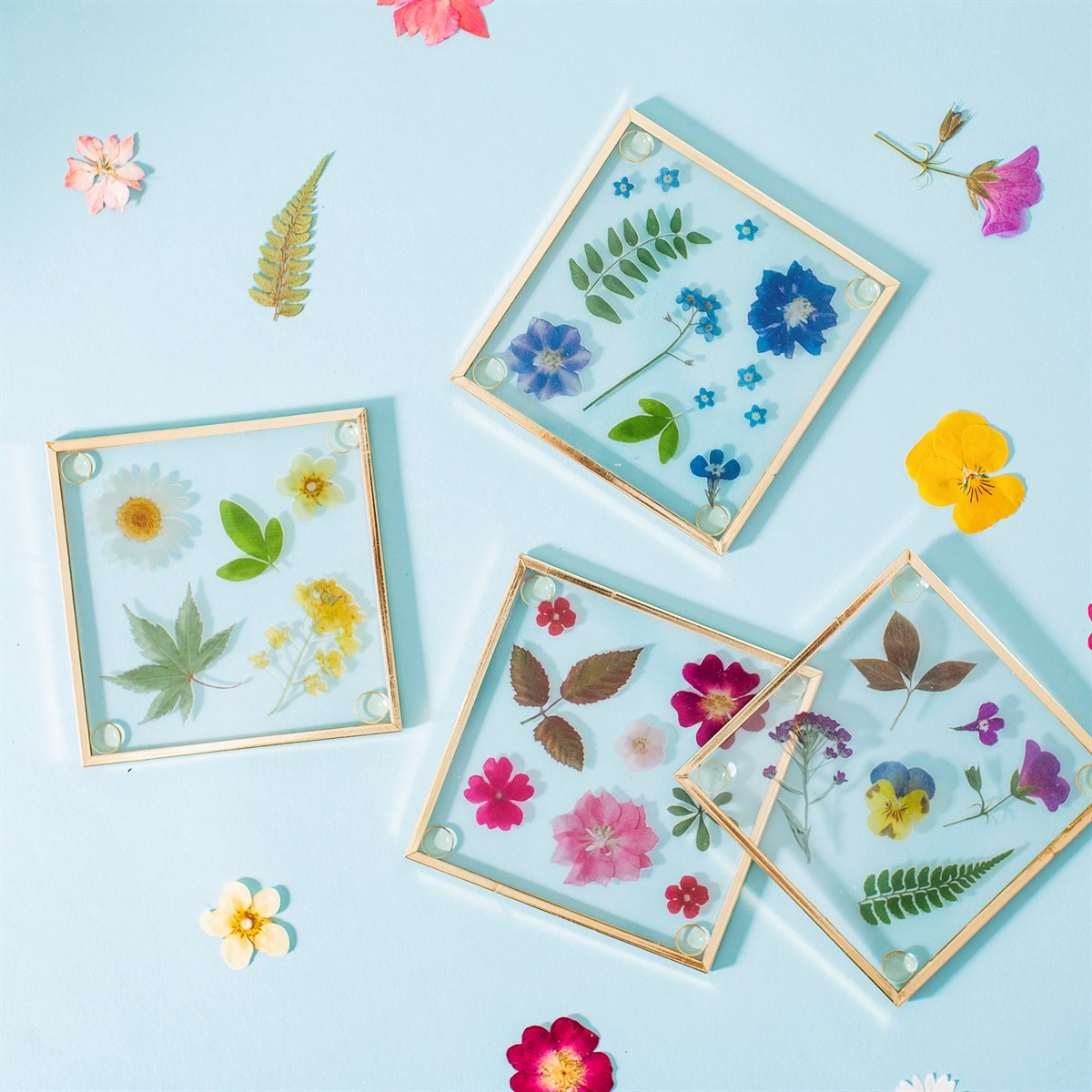 Pressed Flowers Glass Coasters