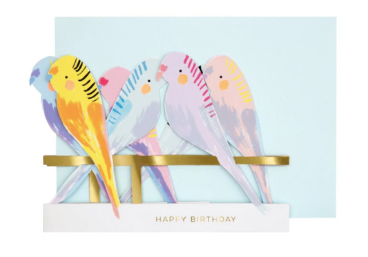 Budgie Birds Concertina Happy Birthday Greeting Card