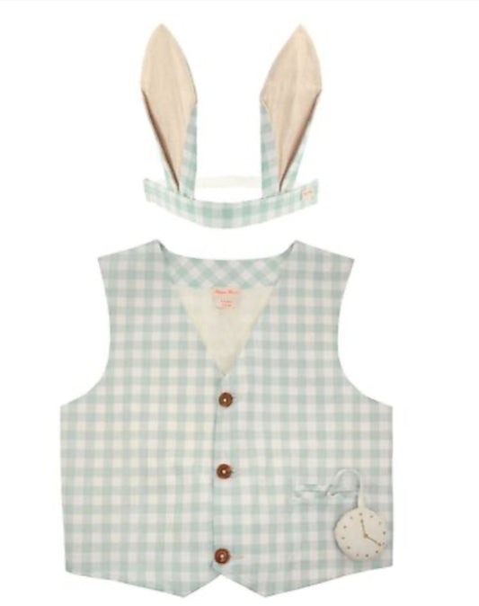 Gingham Bunny Costume