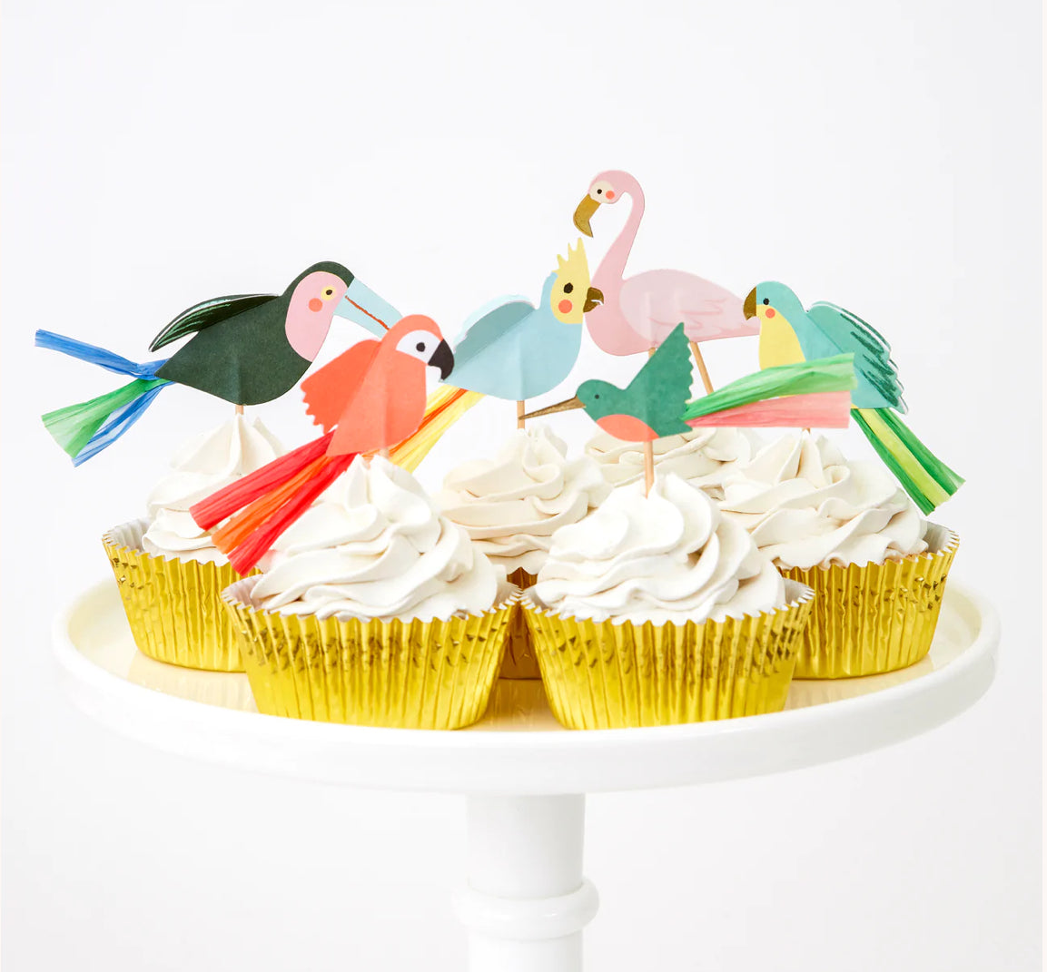 Tropical Bird Cupcake Kit (x 24 toppers)