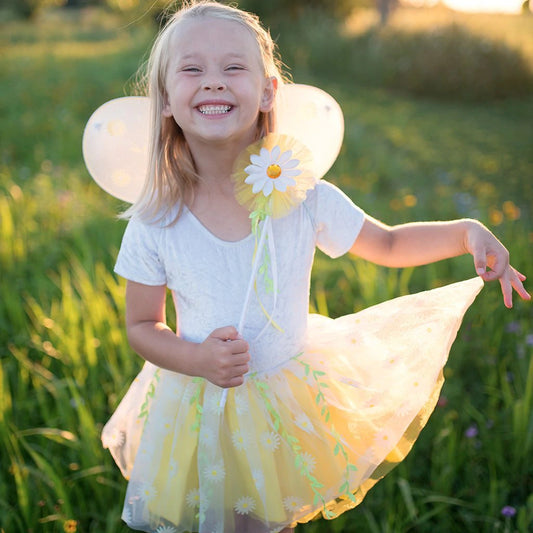 Daisy tutu and wings costume