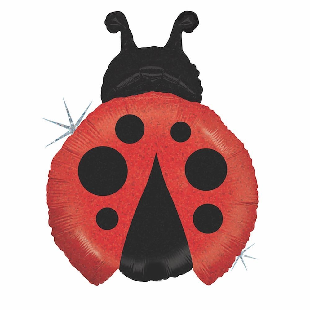 ladybug balloon