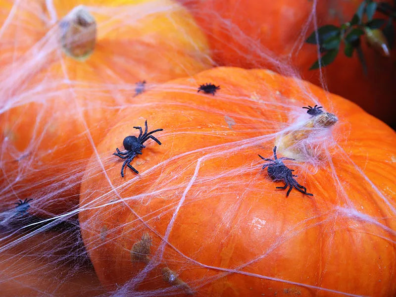 Plastic spiders black